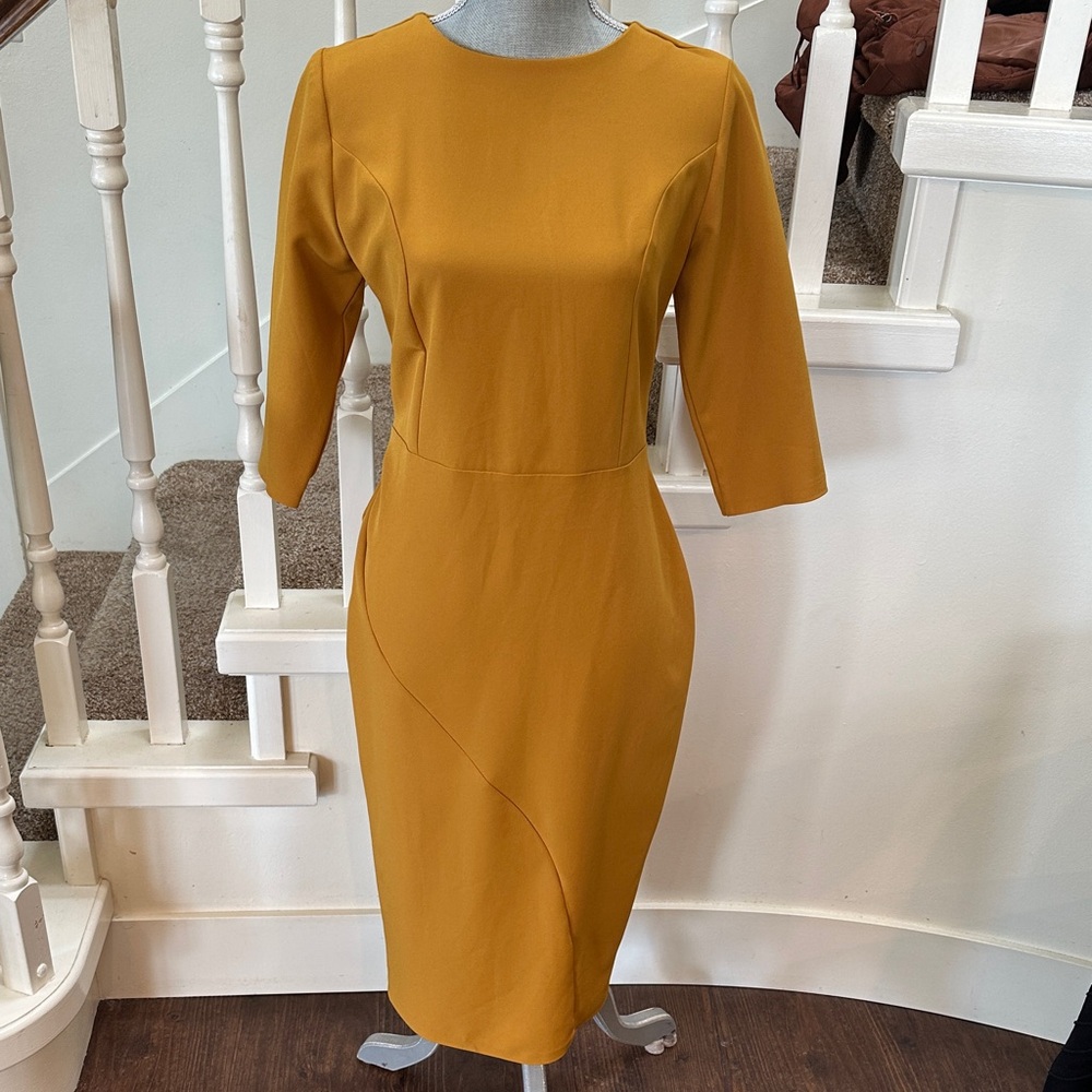 Nwt. Domes dress